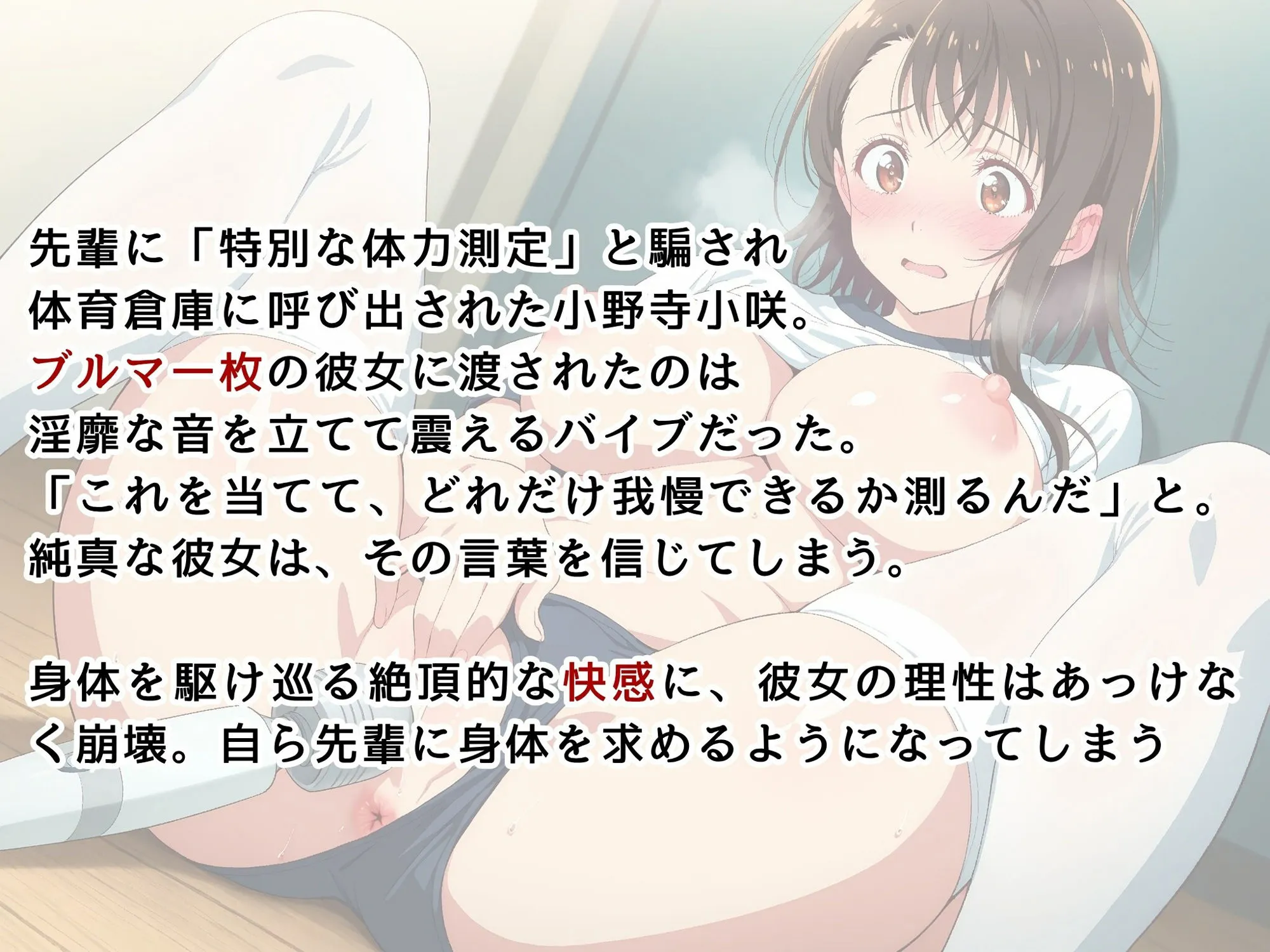 画像生成マン 【ニ●コイ】小野寺●咲の発情記録 〜ブルマを濡らす体育倉庫のバイブ地獄〜 d_612683