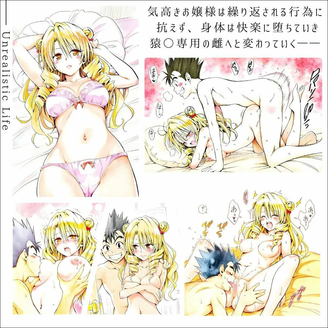 あんらいふ 高慢令嬢、格下男子に抱かれて  快楽に堕ちたお嬢様の末路  天条院沙○ d_665194