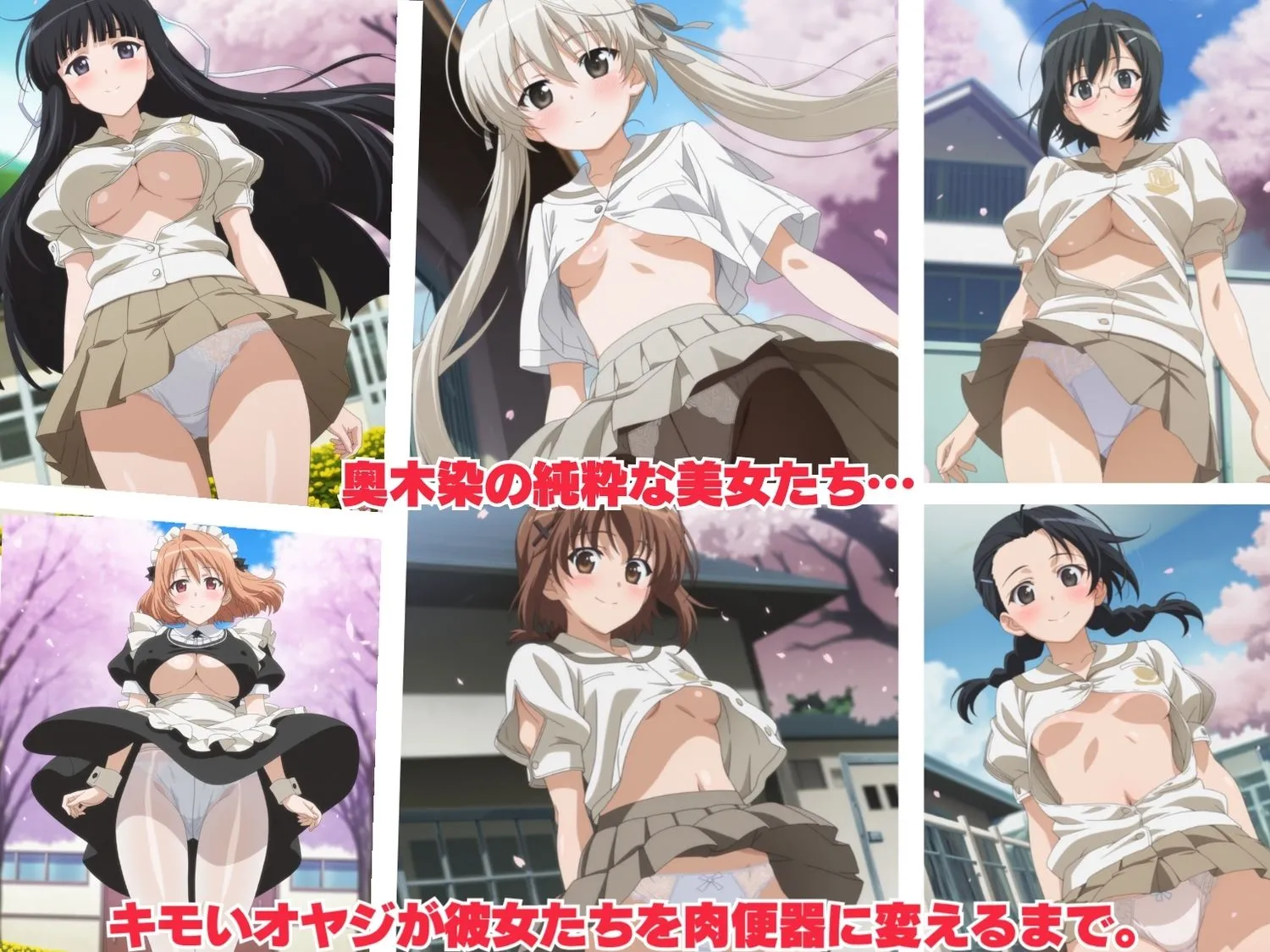 種付けハーレム王国 【寝取られ】奥木染の性奴● 〜全員孕ませ！完全服従ペット化へ…〜 d_686073